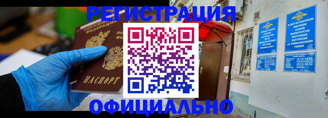 прописка в Кольчугино